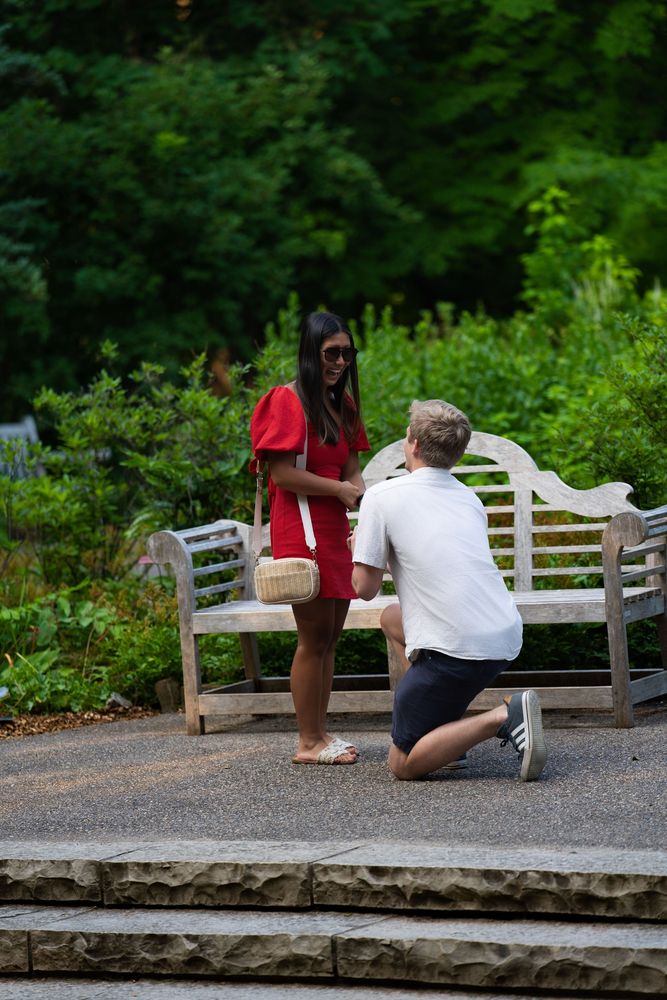 A man kneels to propose to a woman in a red dress beside a wooden garden bench