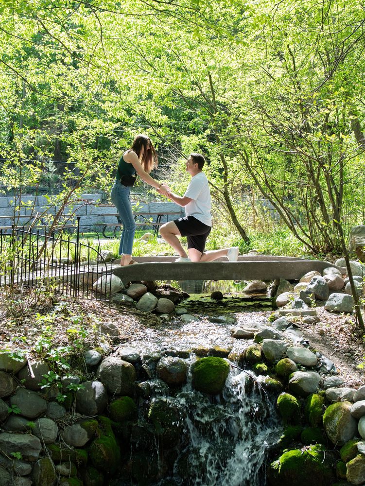 A man kneels to propose on a small stone footbridge above a mossy woodland stream