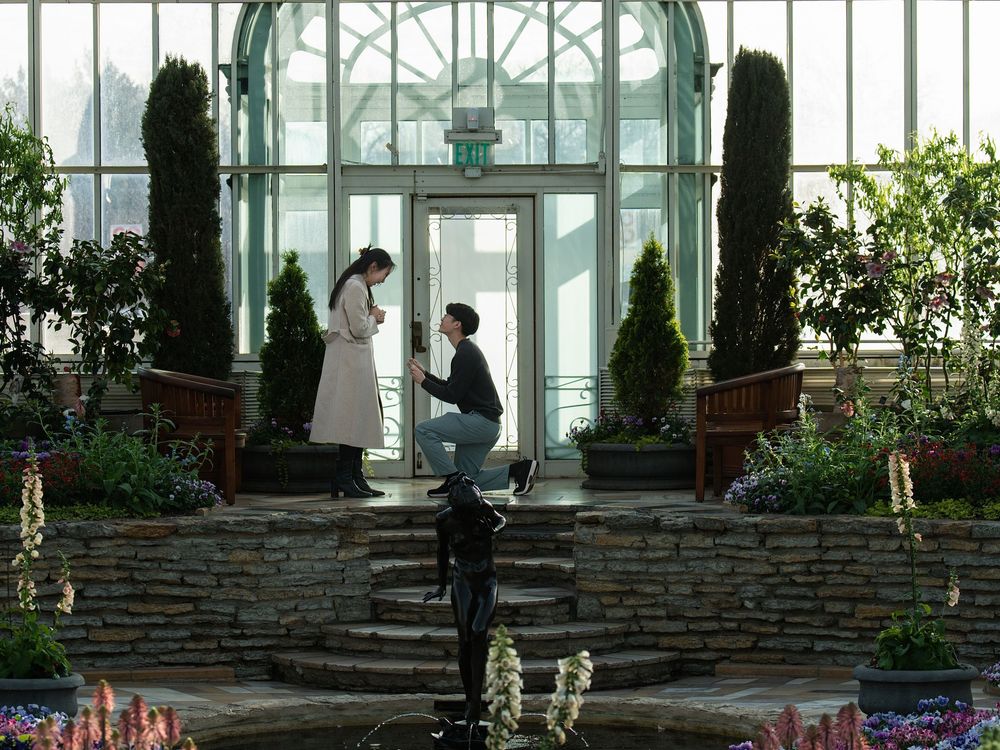 A man kneels to propose to a woman inside a glass conservatory filled with plants